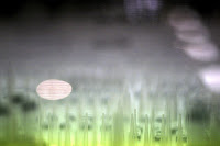 Ubuntu 10.04 Official Wallpaper Pack | HD Wallpapers